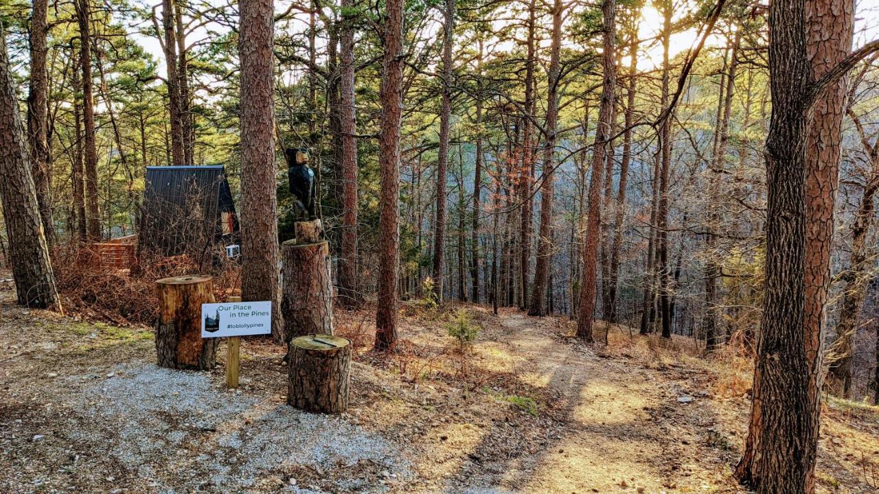 유레카 스프링스 Loblolly Pines Adventure Aframe #1 빌라 외부 사진